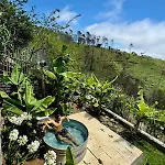 New! Nature Paradise With Ocean View & Hot Tubs