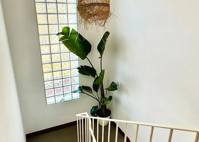 New! Nature Paradise With Ocean View & Hot Tubs Fajã da Ovelha