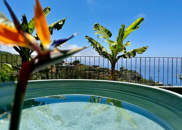 New! Nature Paradise With Ocean View & Hot Tubs Villa Fajã da Ovelha