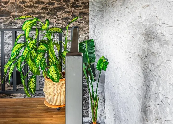 New! Nature Paradise With Ocean View & Hot Tubs