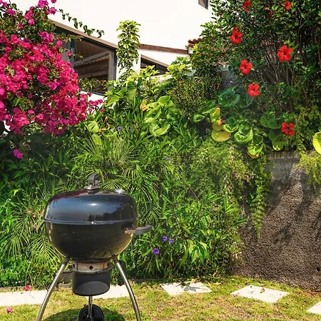 New! Nature Paradise With Ocean View & Hot Tubs Villa *