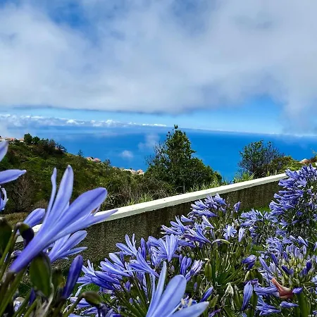 New! Nature Paradise With Ocean View & Hot Tubs