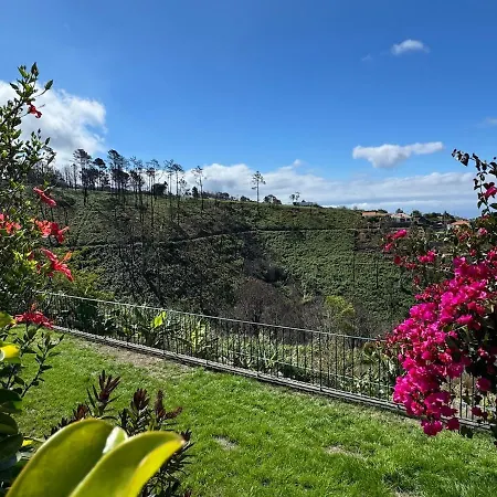 New! Nature Paradise With Ocean View & Hot Tubs *