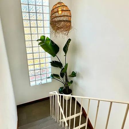 New! Nature Paradise With Ocean View & Hot Tubs Fajã da Ovelha