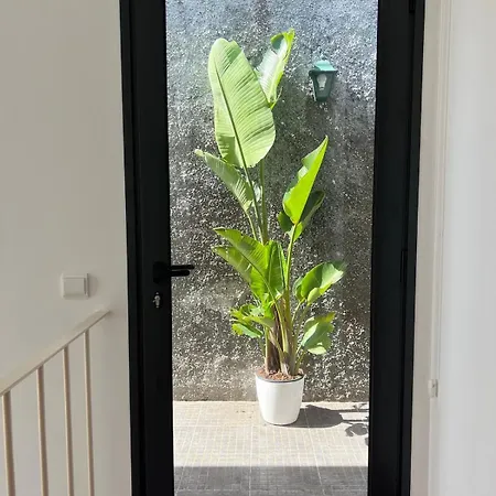 New! Nature Paradise With Ocean View & Hot Tubs *