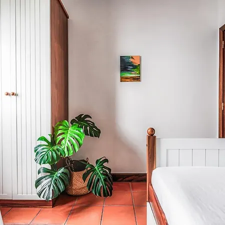 New! Nature Paradise With Ocean View & Hot Tubs *