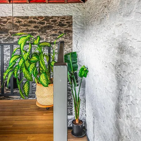 New! Nature Paradise With Ocean View & Hot Tubs