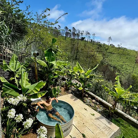 New! Nature Paradise With Ocean View & Hot Tubs