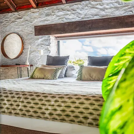 New! Nature Paradise With Ocean View & Hot Tubs