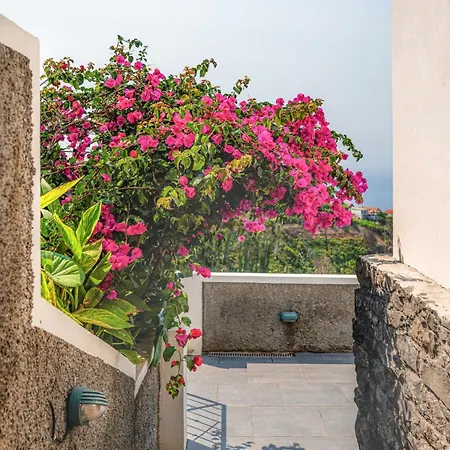 New! Nature Paradise With Ocean View & Hot Tubs *