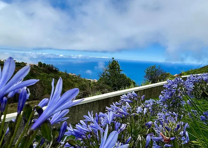 New! Nature Paradise With Ocean View & Hot Tubs