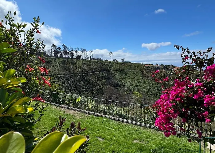 New! Nature Paradise With Ocean View & Hot Tubs *