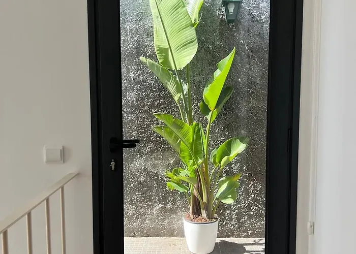 New! Nature Paradise With Ocean View & Hot Tubs *