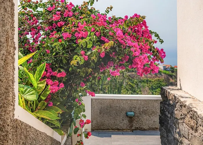 New! Nature Paradise With Ocean View & Hot Tubs *